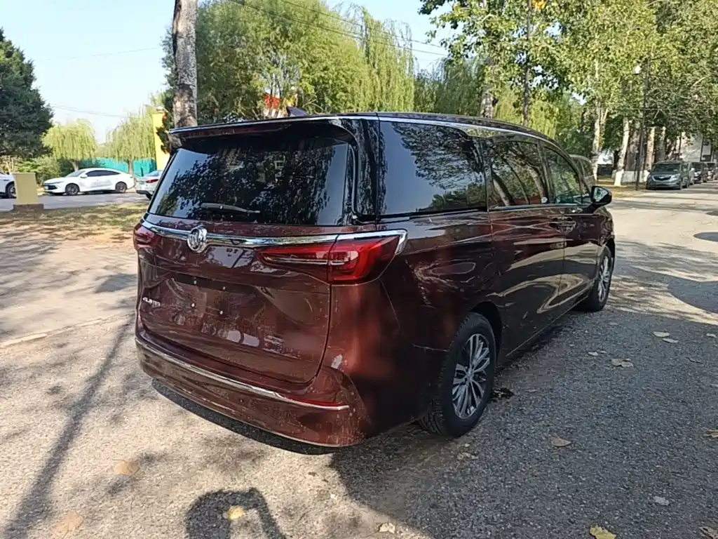 Buick GL8 — миниатюра 7