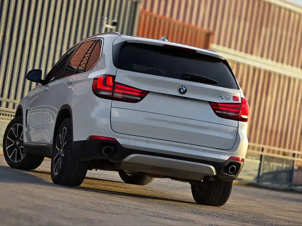 BMW X5 (Import) — миниатюра 7