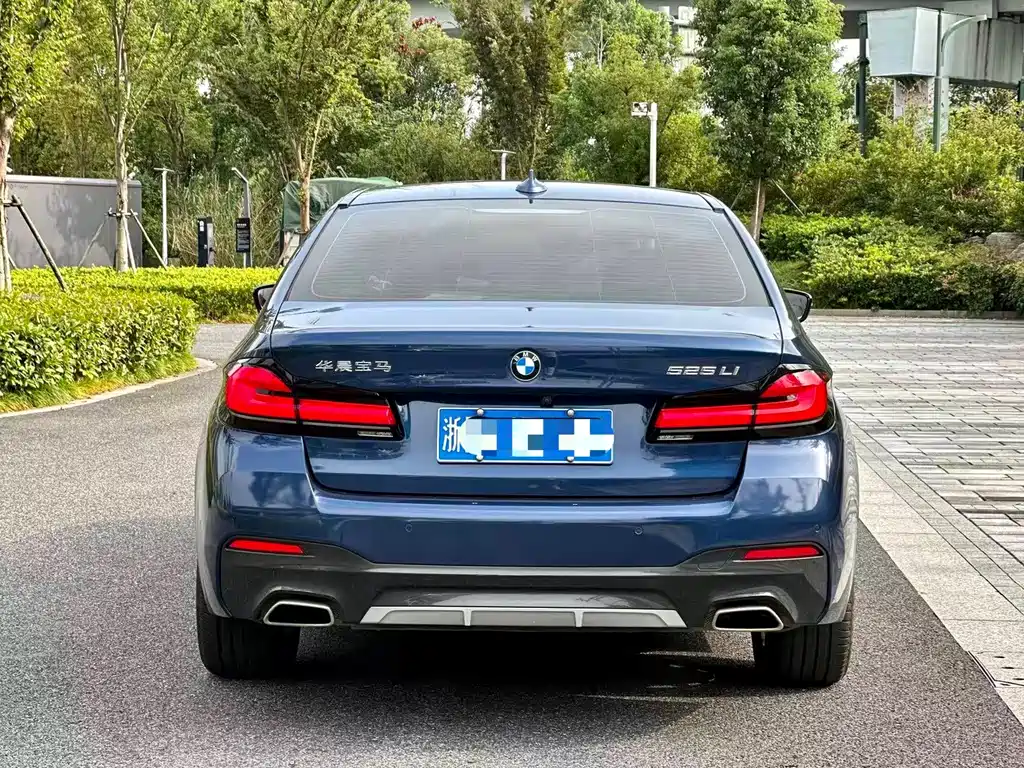 BMW 5 Series — миниатюра 5