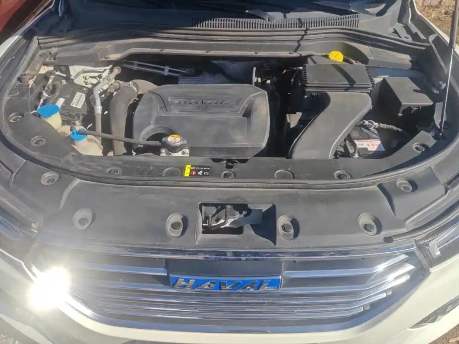 Haval H2s — миниатюра 10