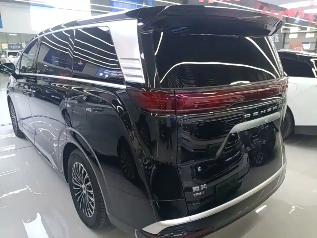 Denza Denza D9 — миниатюра 5