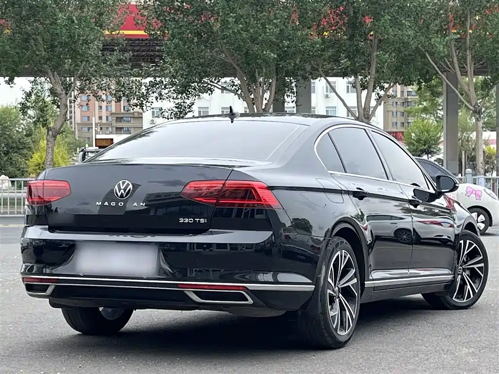 Volkswagen Magotan 2020 330TSI DSG Luxury