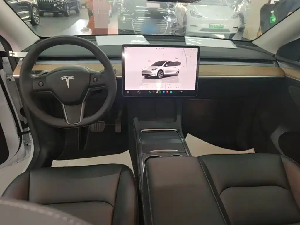 Tesla Model Y — миниатюра 10