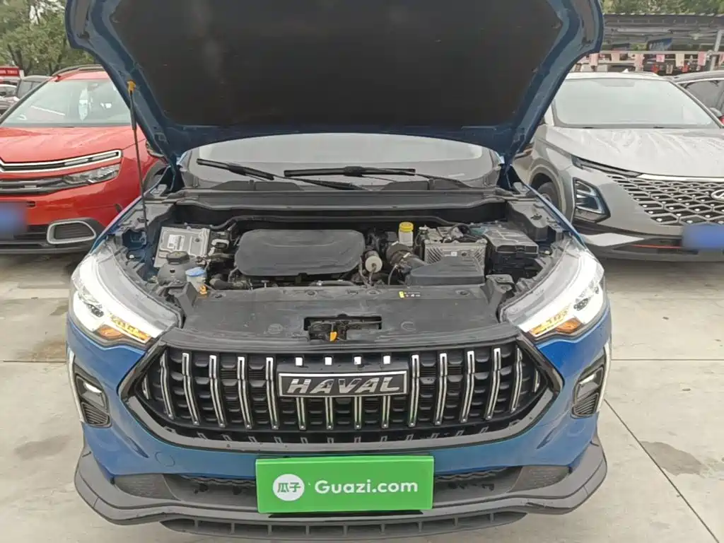 Haval Chitu — миниатюра 20