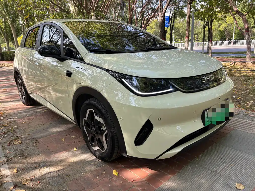 BYD Dolphin — миниатюра 18