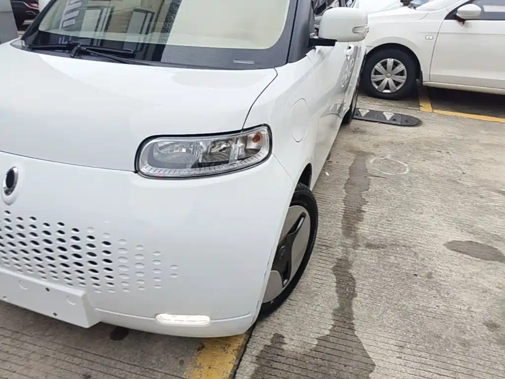 Ora Ora White Cat — миниатюра 24