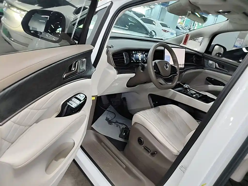 Denza Denza D9 — миниатюра 16