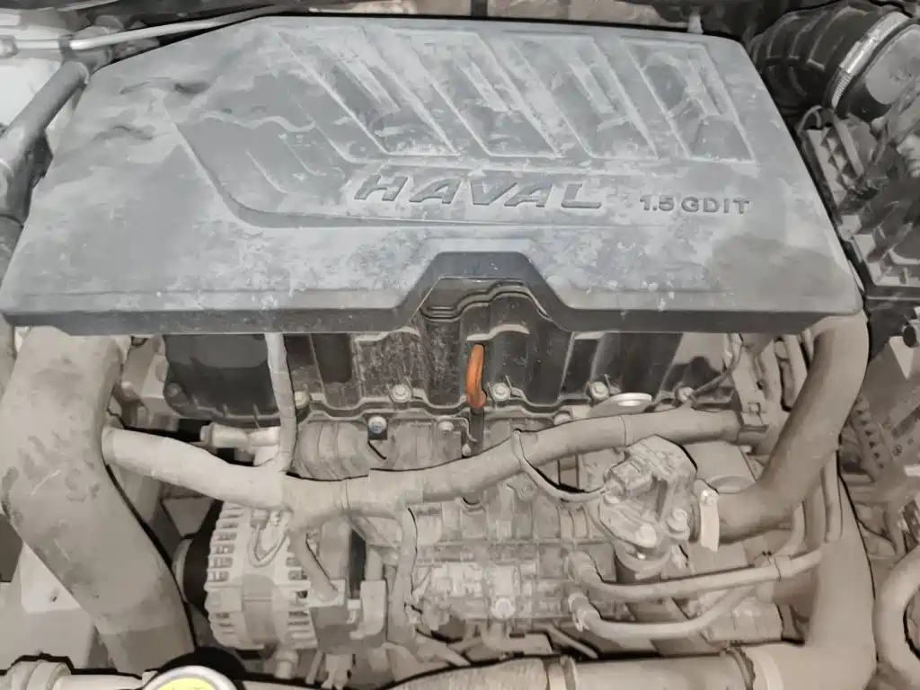Haval H6 Coupe — миниатюра 16