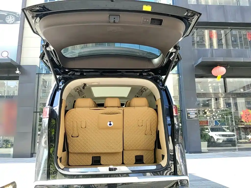 Denza Denza D9 — миниатюра 19