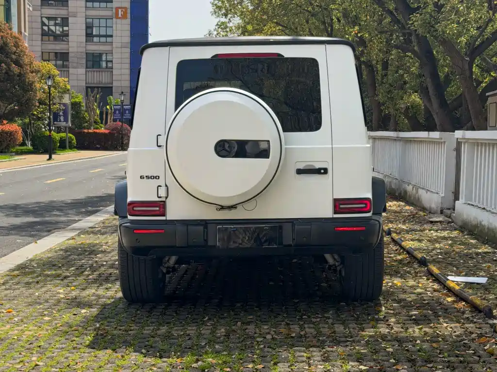 Mercedes-Benz G-Class — миниатюра 6