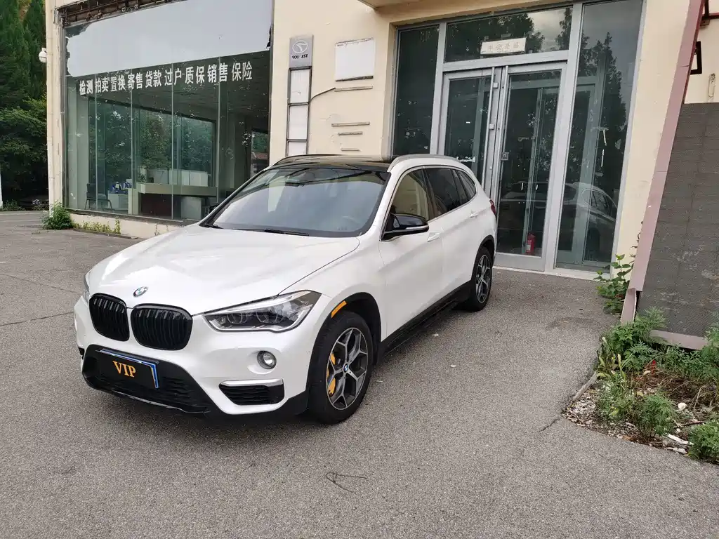 BMW X1 — миниатюра 2