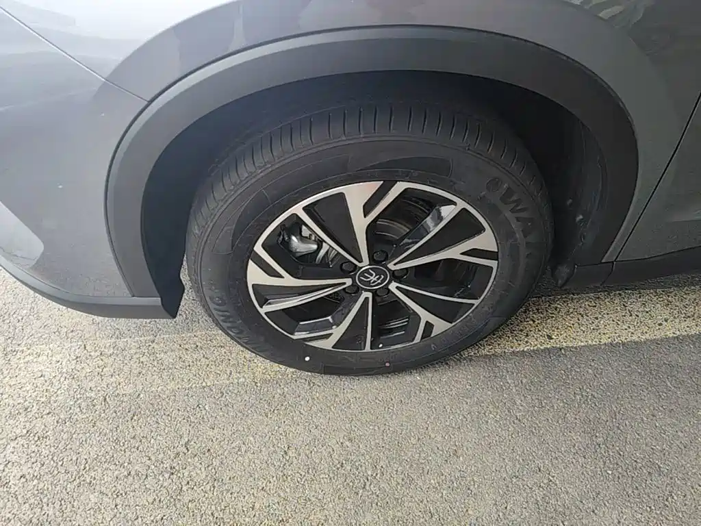 BYD Pro New Energy — миниатюра 23