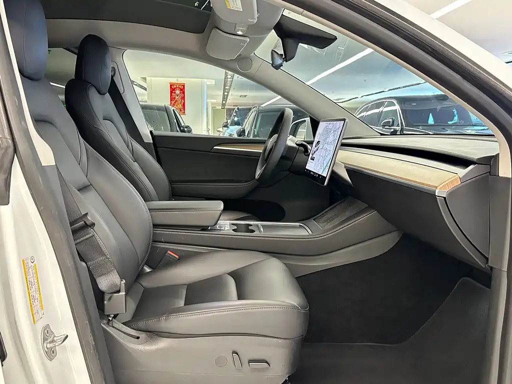 Tesla Model Y — миниатюра 11