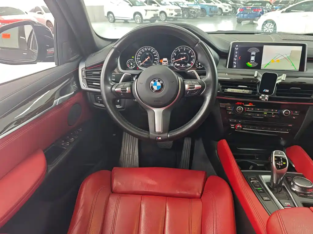 BMW X6 — миниатюра 8