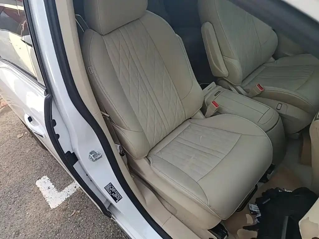 Buick GL8 — миниатюра 25