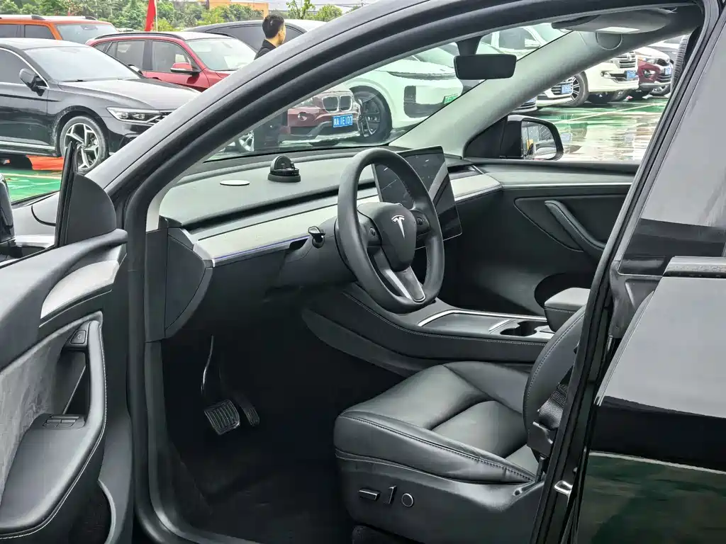 Tesla Model Y — миниатюра 4