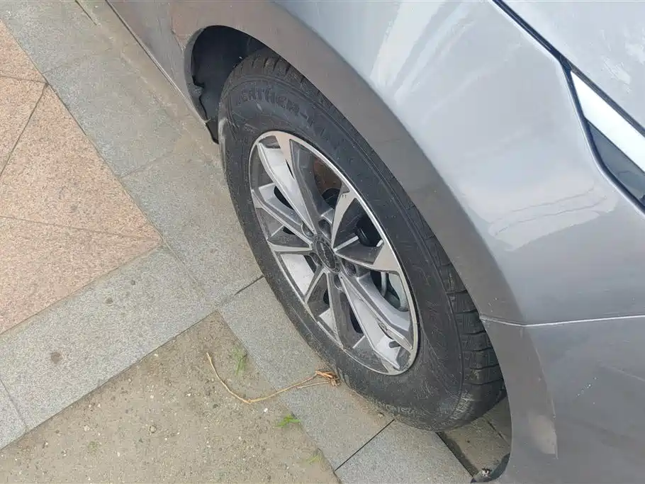 BYD Destroyer 05 2024 DM-i 55KM Luxury