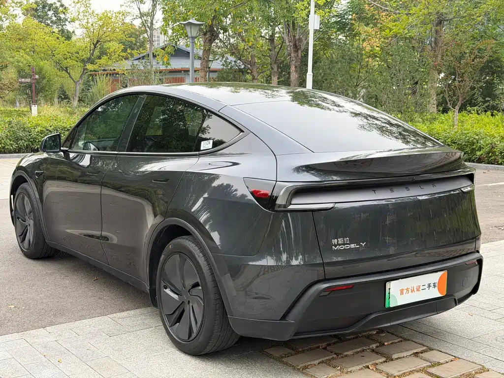 Tesla Model Y — миниатюра 5