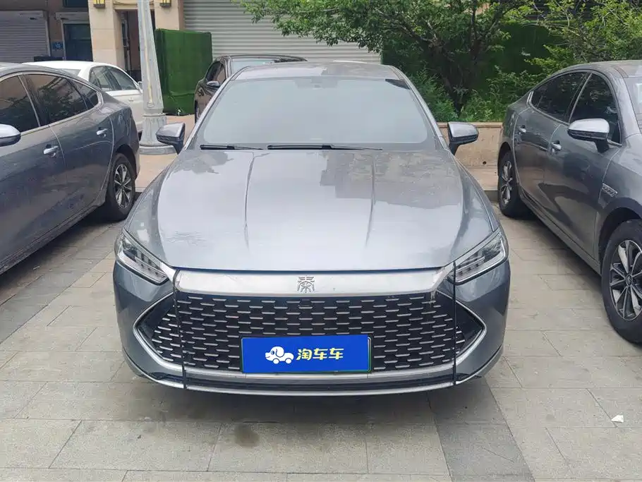 BYD Qin Plus PLUS 2024 DM-i 55KM Lead