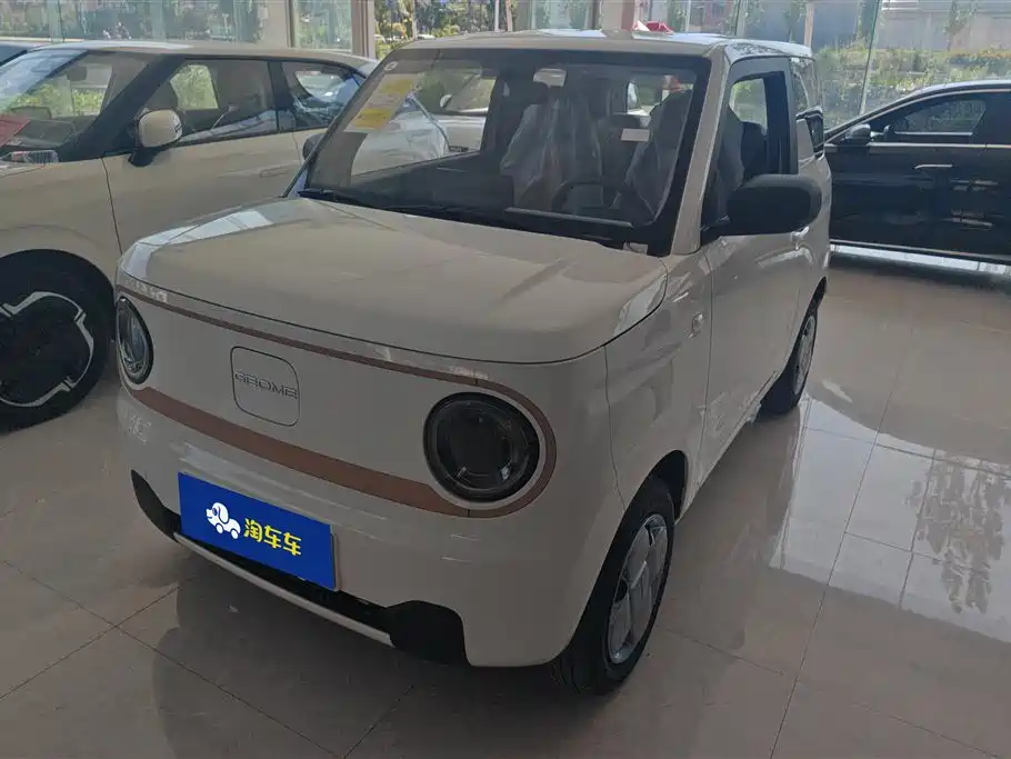 BYD Panda 2024 Panda mini 200km Endurance Bear