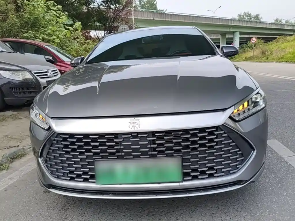 BYD Qin Plus PLUS 2024 DM-i 55KM Lead