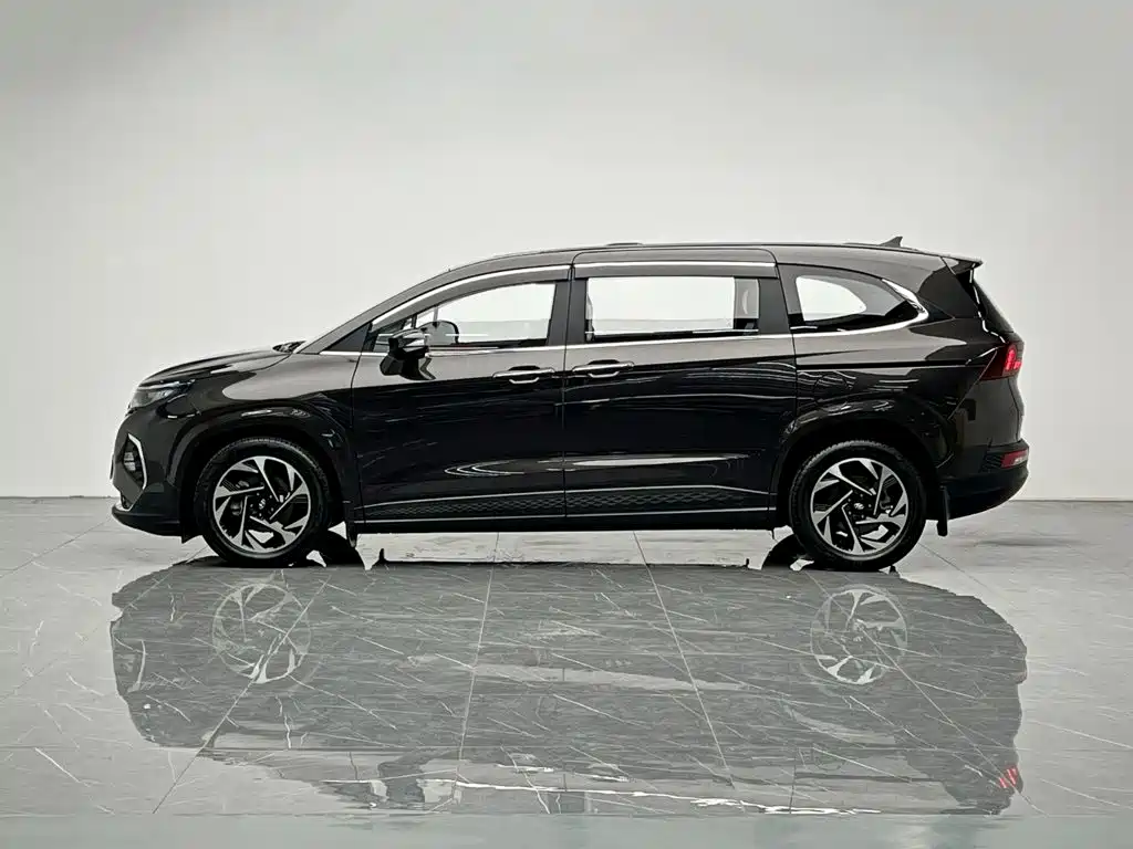 Hyundai Custo — миниатюра 3
