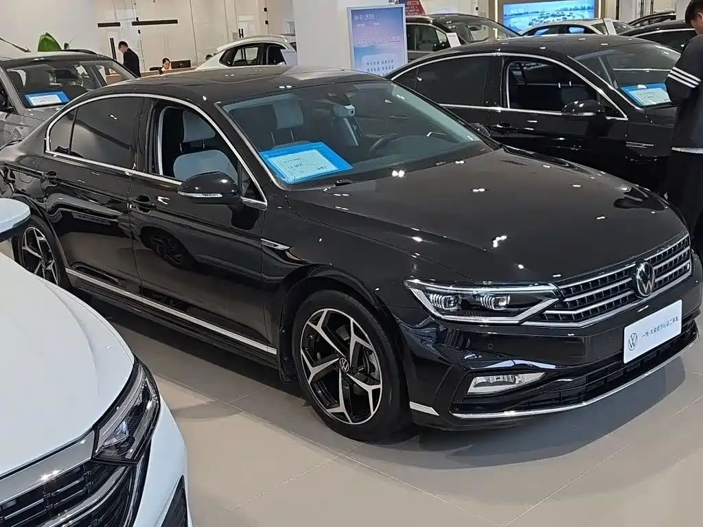 Volkswagen Magotan — миниатюра 3