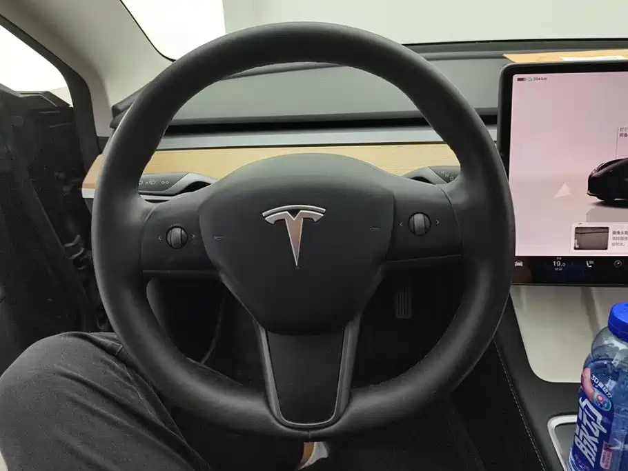Tesla Model 3 — миниатюра 15