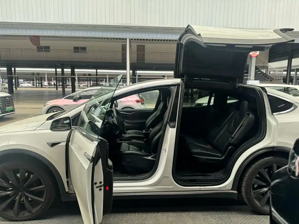Tesla Model X — миниатюра 5