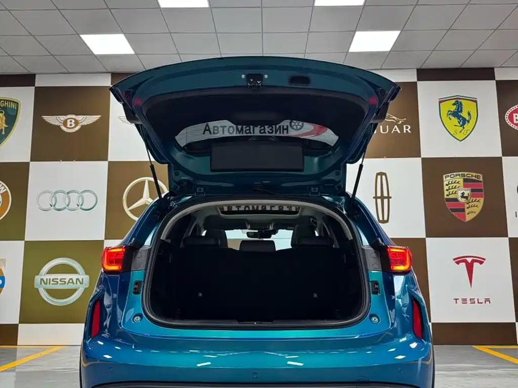Haval Chitu — миниатюра 17