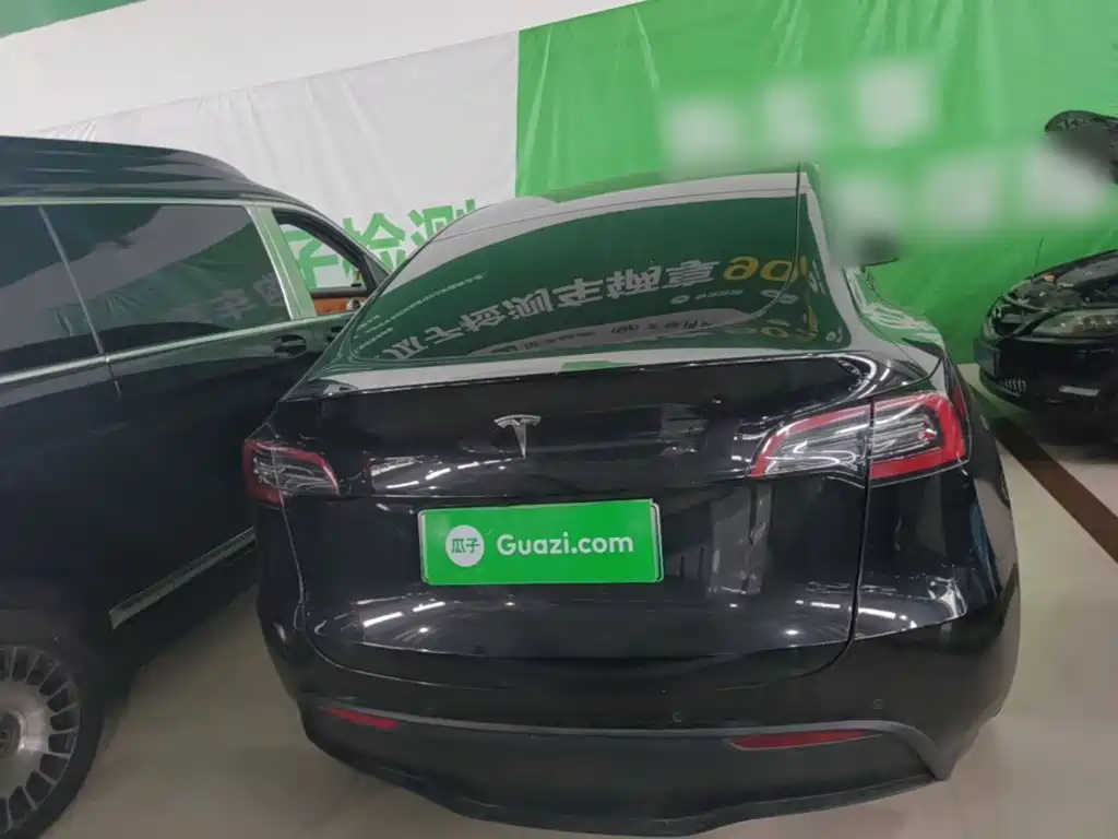 Tesla Model Y — миниатюра 6