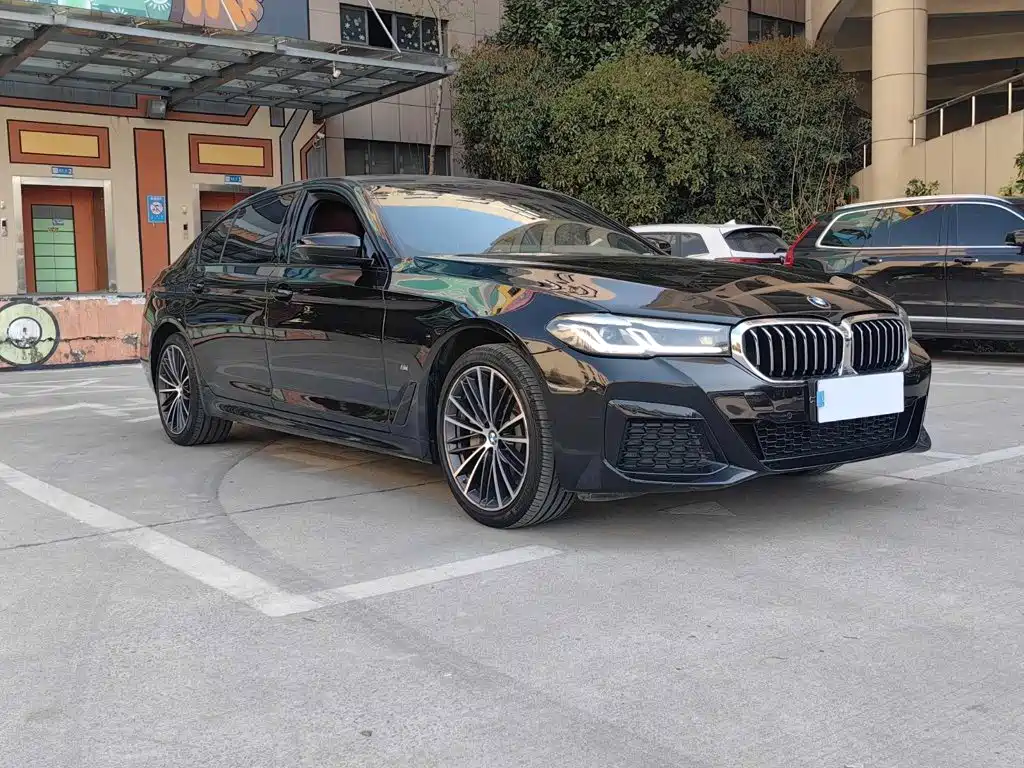 BMW 5 Series — миниатюра 3