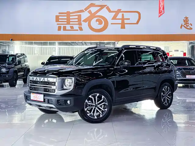 HAVAL BIG DOG