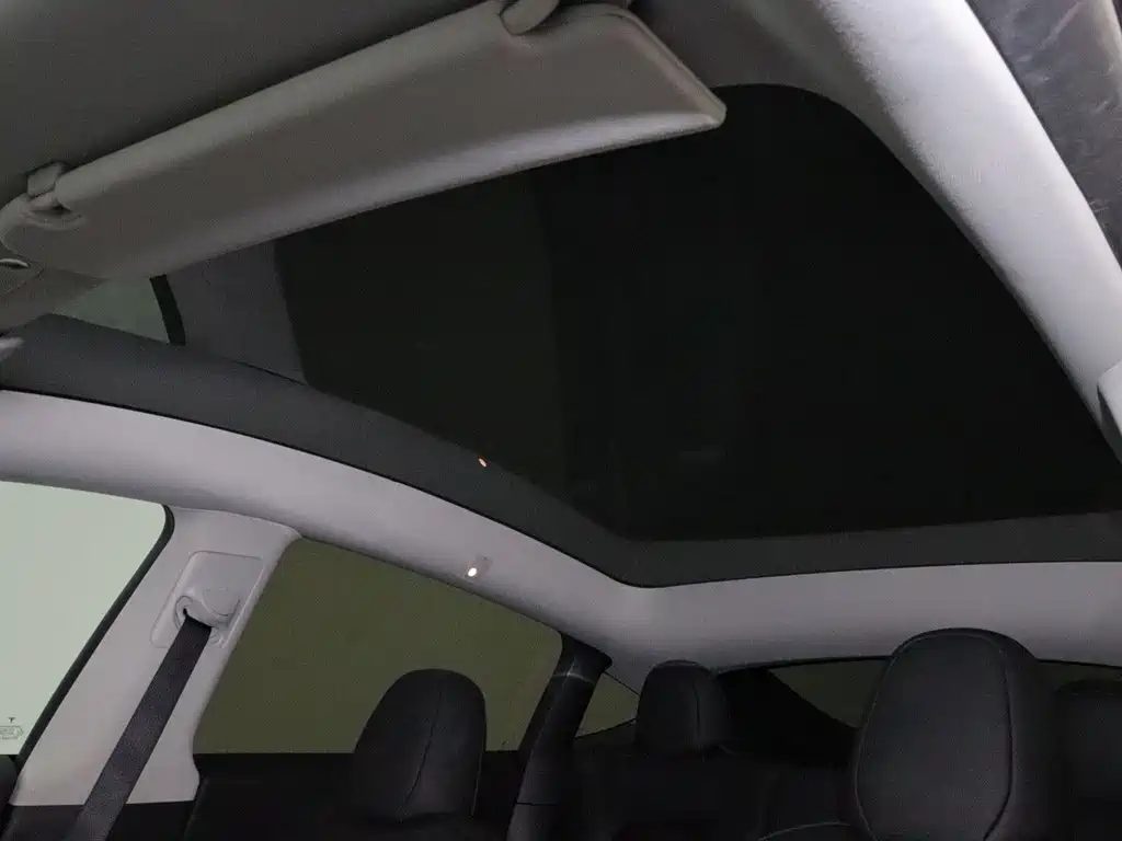 Tesla Model Y — миниатюра 17