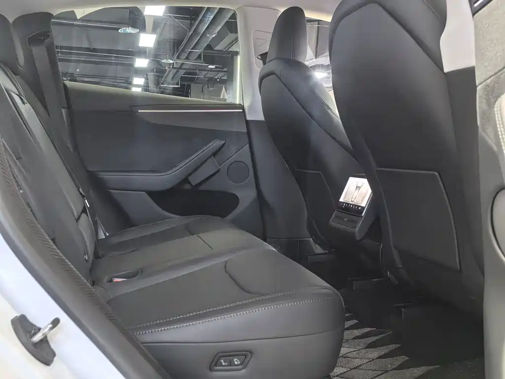 Tesla Model Y — миниатюра 8