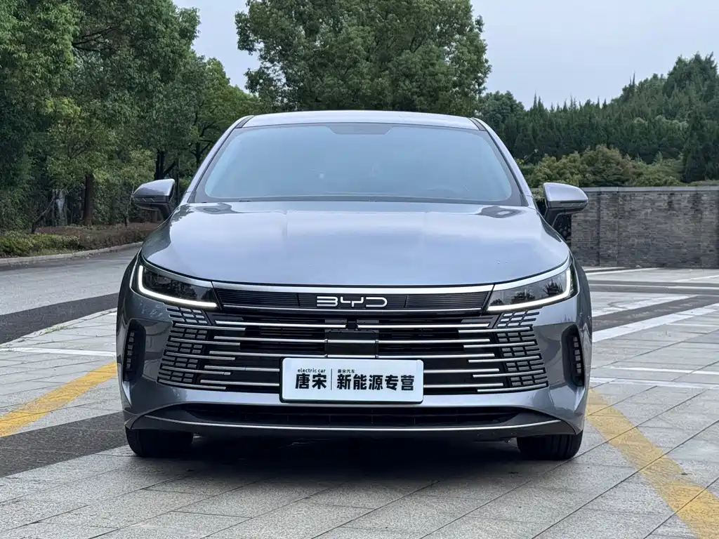 BYD Destroyer 05 — миниатюра 2