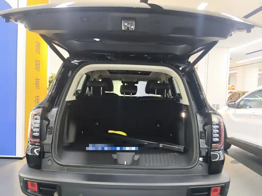 Haval Big Dog — миниатюра 19