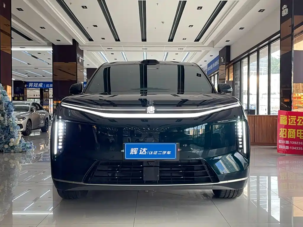BYD Datang — миниатюра 2