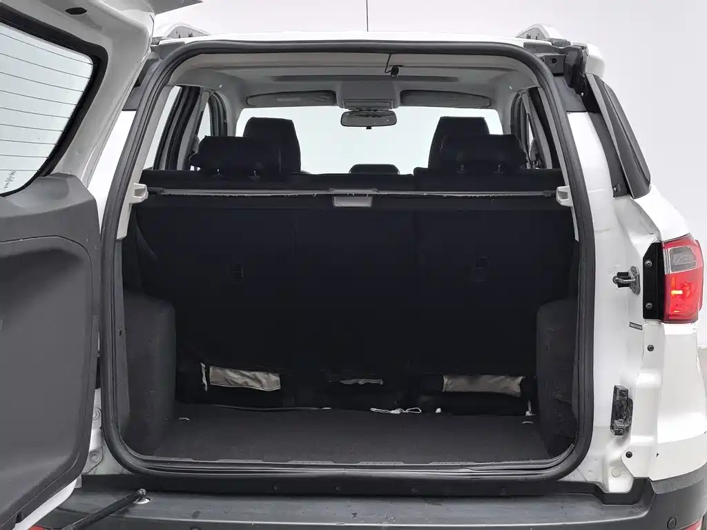 Ford Ecosport — миниатюра 16