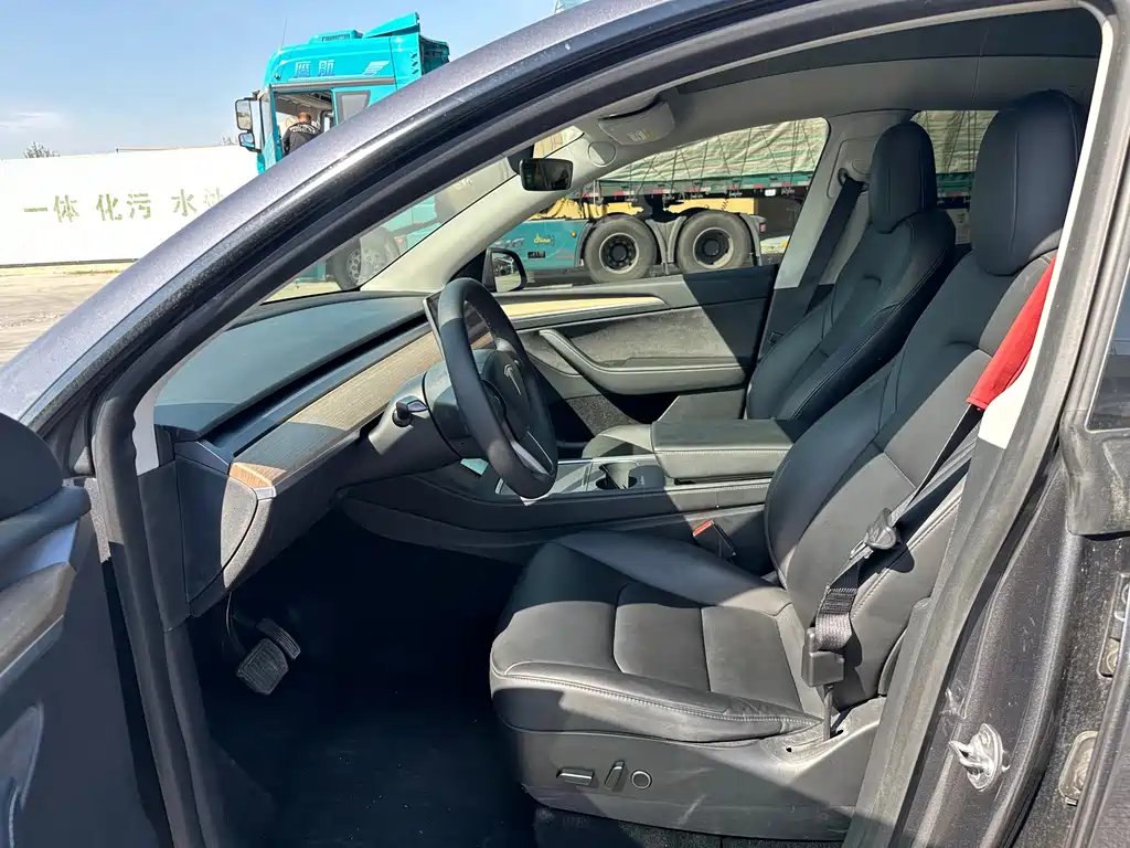 Tesla Model Y — миниатюра 14