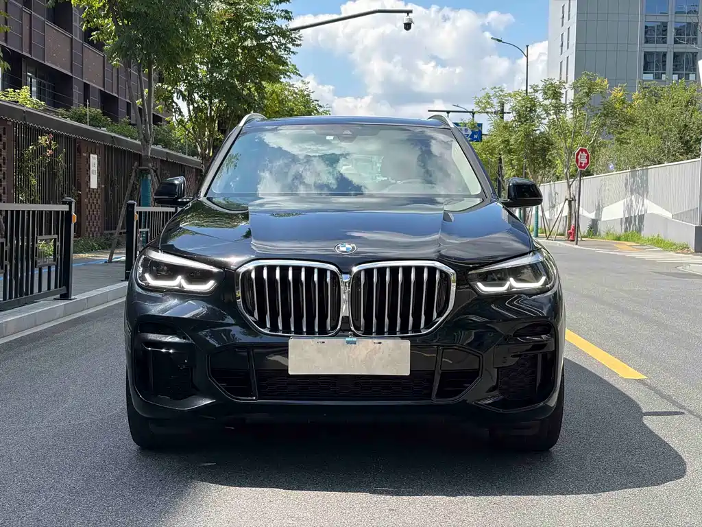 BMW X5 (Import) — миниатюра 2