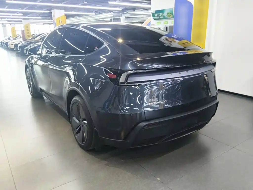 Tesla Model Y — миниатюра 5