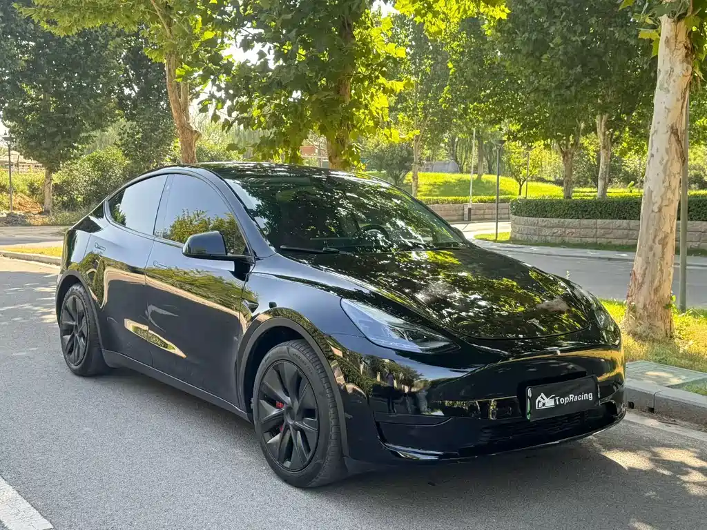 Tesla Model Y — миниатюра 3