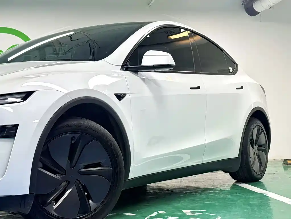 Tesla Model Y — миниатюра 2