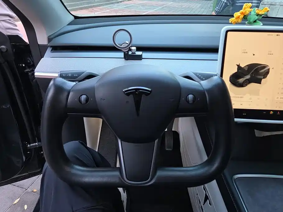 Tesla Model Y — миниатюра 15