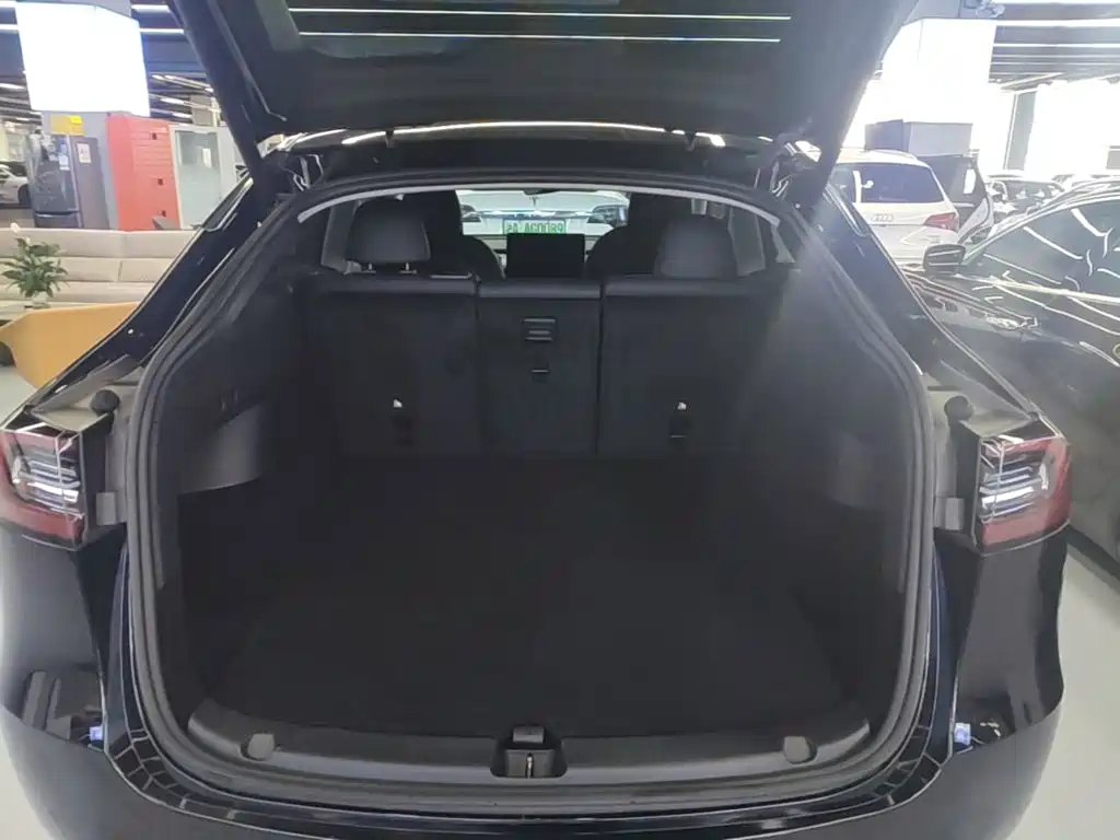 Tesla Model Y — миниатюра 19