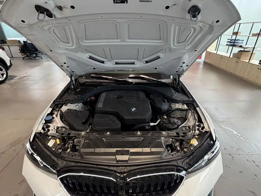BMW 3 Series — миниатюра 16