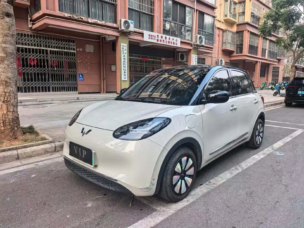 Wuling Bingo 2024