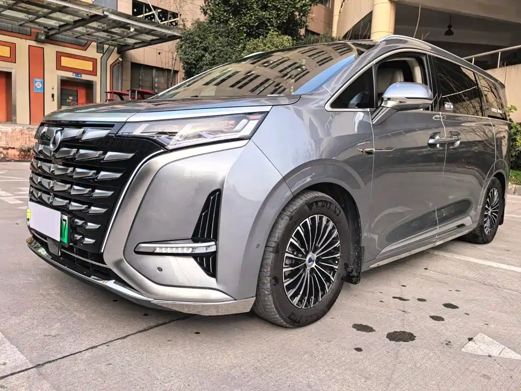 Denza Denza D9 — миниатюра 4