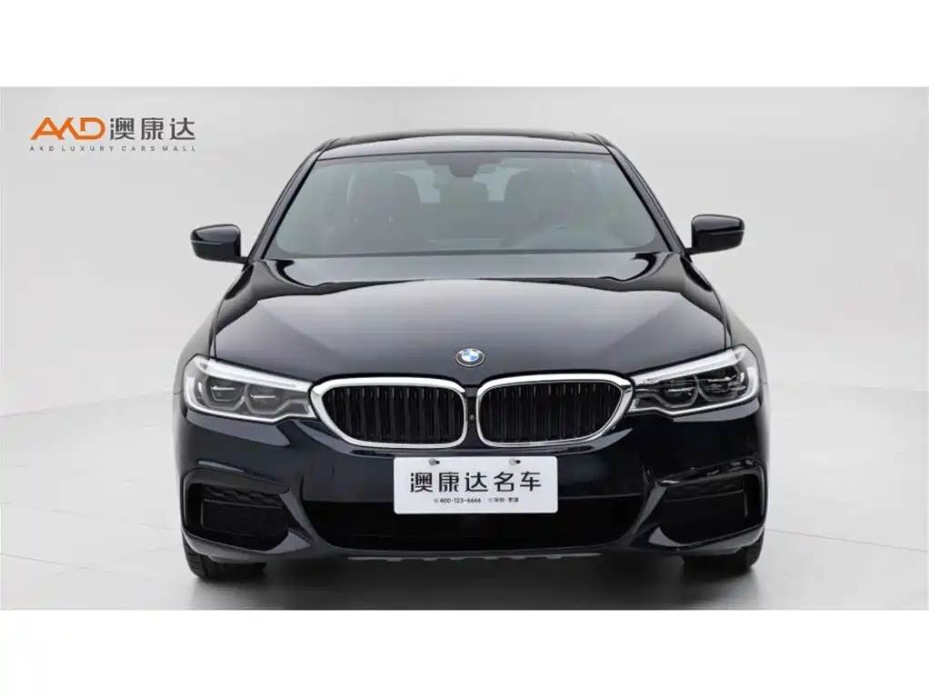 BMW 5 Series 5 2020 530Li Premium M Sport